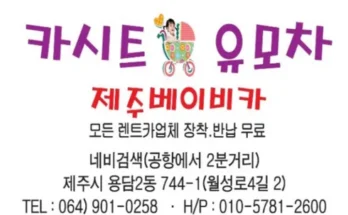 유튜버추천 베스트8 제주유모차대여 사용리뷰분석