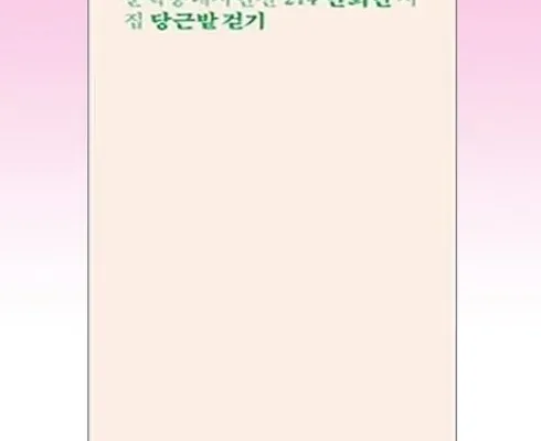 대학생추천 TOP8 안희연당근밭걷기 추천 합니다